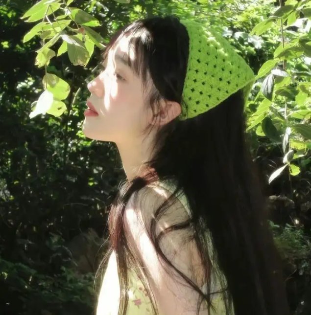 我的刺猬女孩