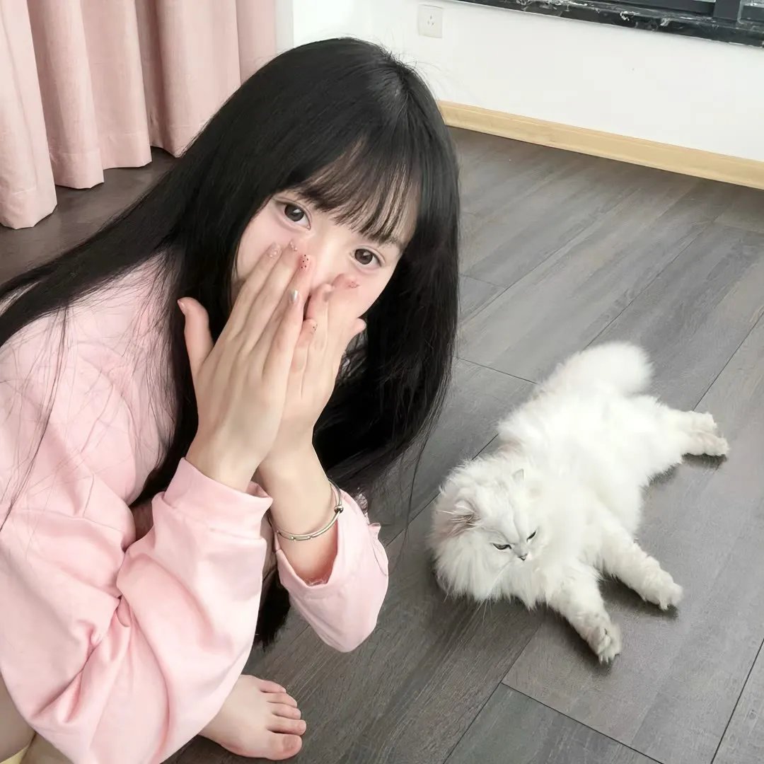城迷